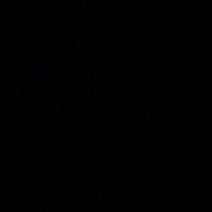 Meet your Posher, Cora